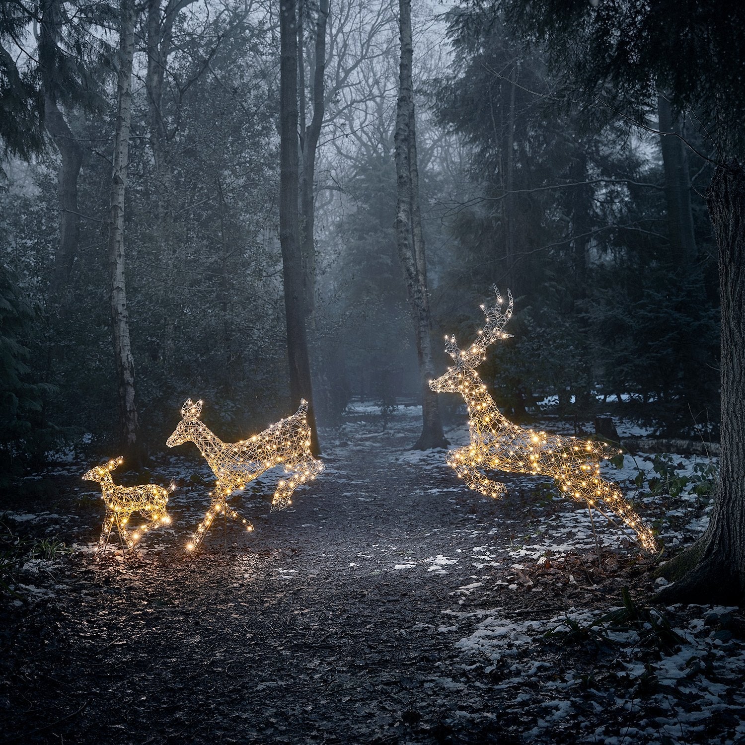 Showstopper Reindeer